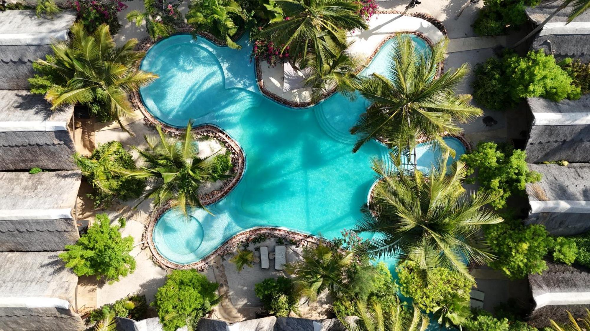 The Nest Tropical Oasis *